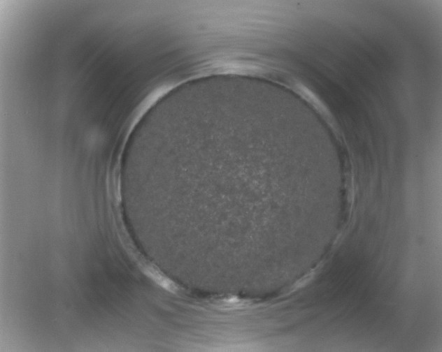 X0000082200891200701270115