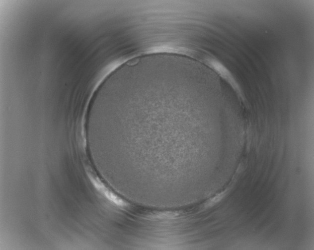 X0000082200892200701270115