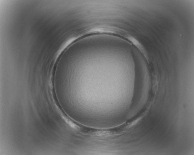 X0000082200893200701270115