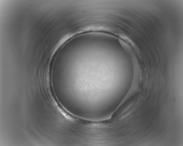 X0000082200894200701270115