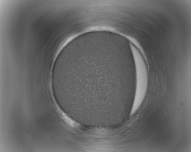 X0000082200895200701270115