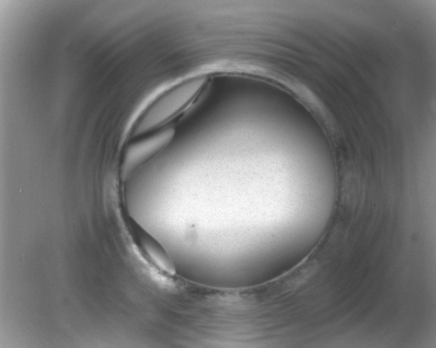 X0000082200896200701270115