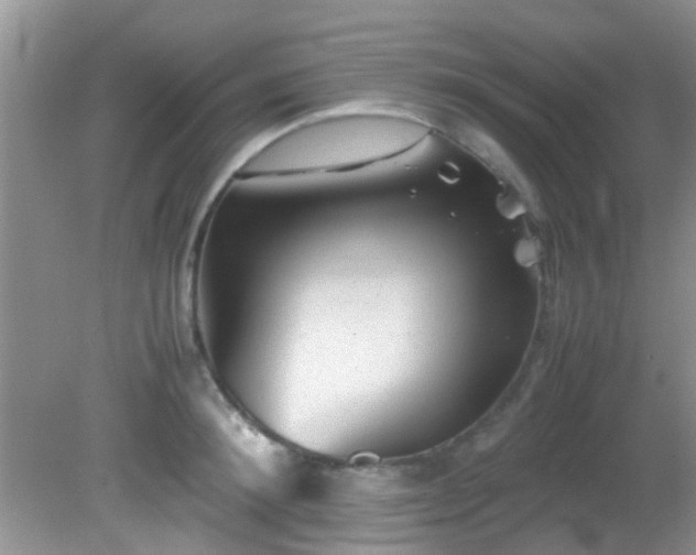 X0000082200900200701270115