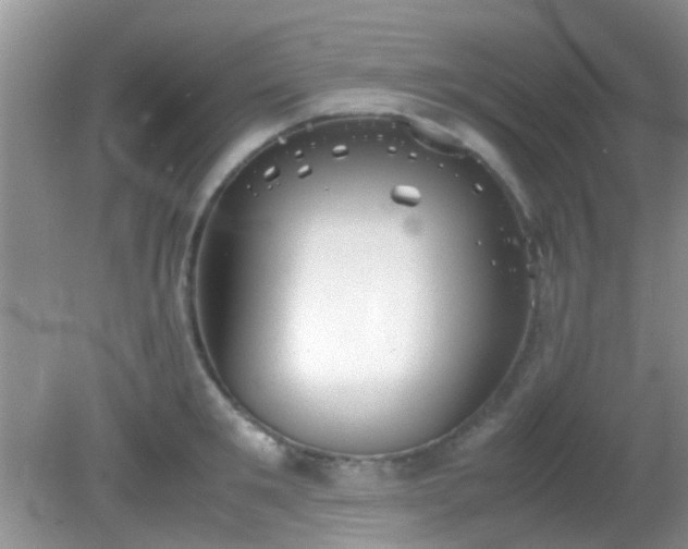 X0000082200901200701270115