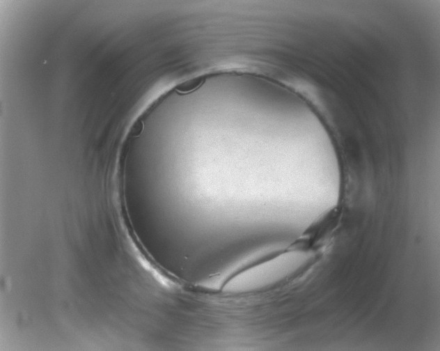 X0000082200902200701270115