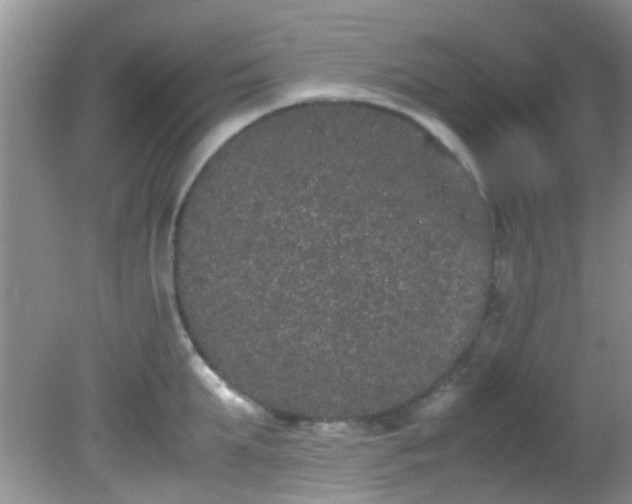 X0000082200903200701270115