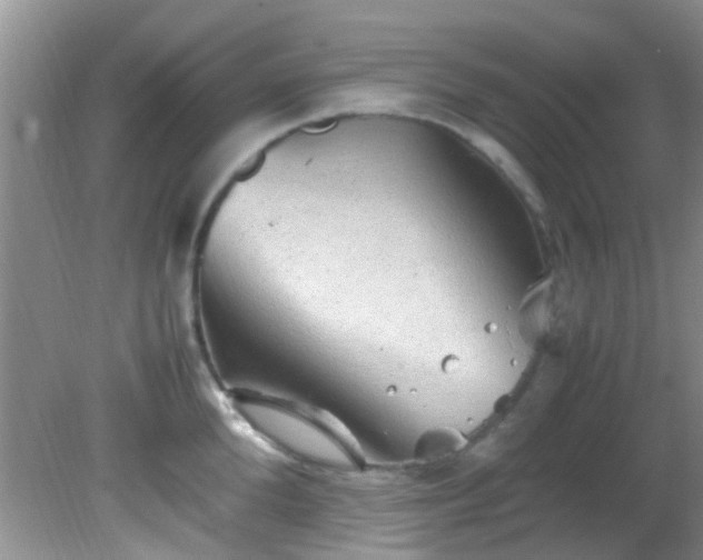 X0000082200904200701270115