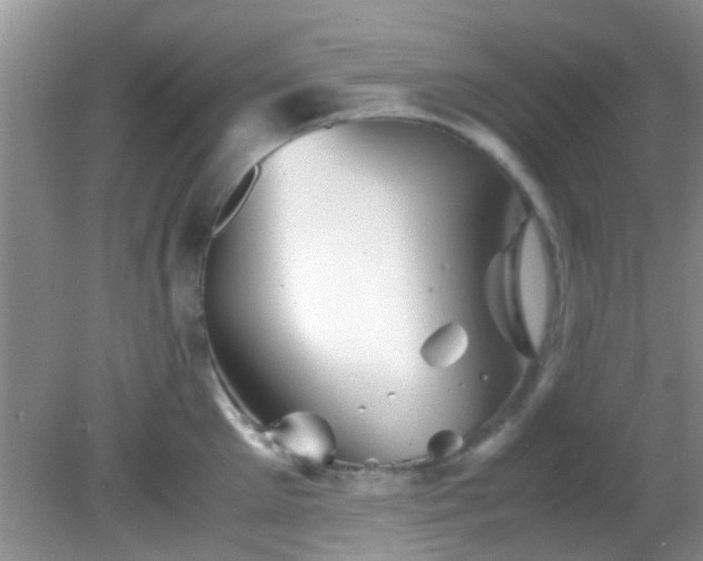 X0000082200905200701270115