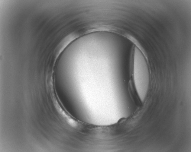 X0000082200906200701270115