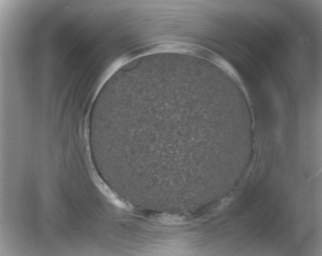 X0000082200907200701270115