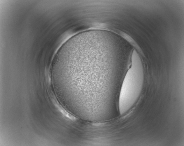 X0000082200908200701270115