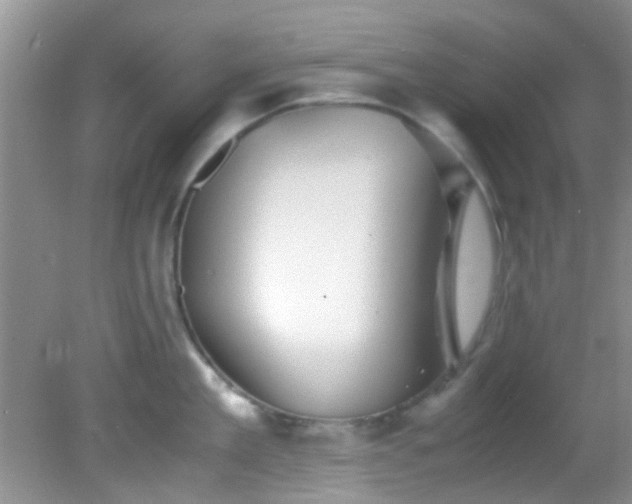 X0000082200909200701270115