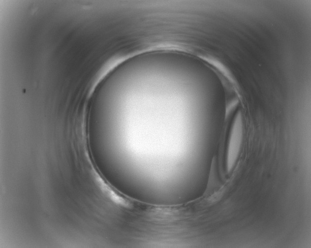 X0000082200910200701270115