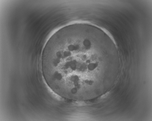 X0000082200911200701270115