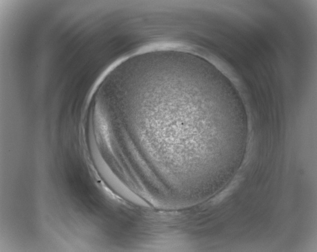 X0000082200912200701270115