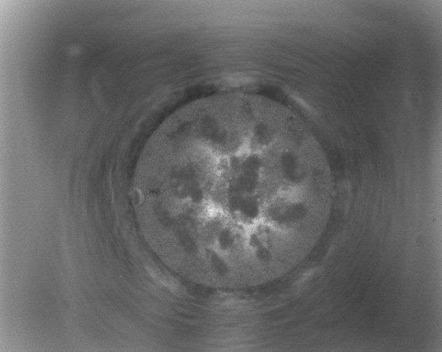 X0000082200913200701270114