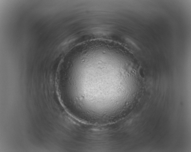 X0000082200917200701270114