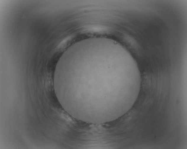 X0000082200918200701270114