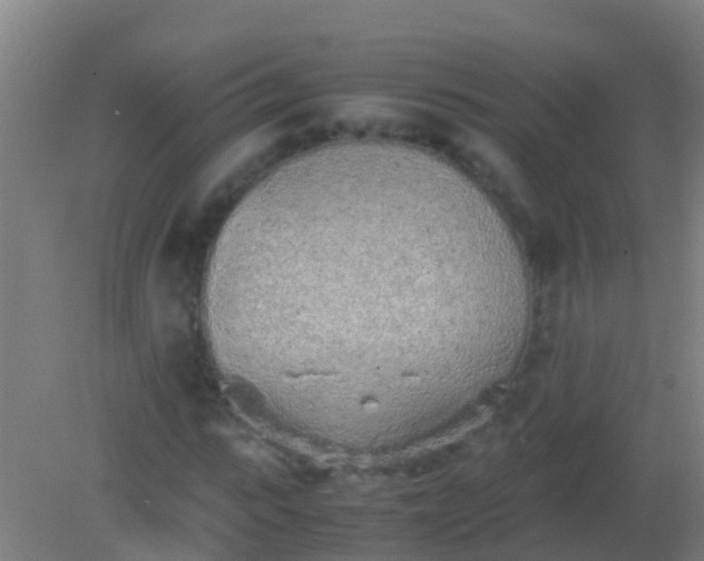 X0000082200919200701270114