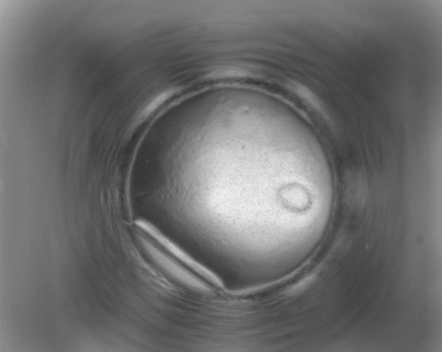 X0000082200921200701270114