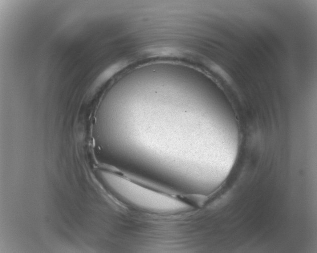 X0000082200922200701270114