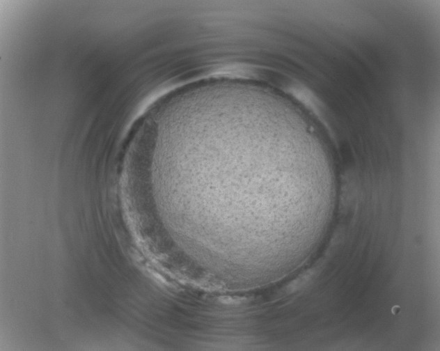 X0000082200923200701270114