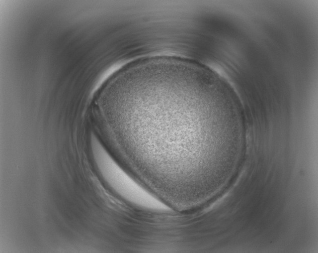 X0000082200925200701270114