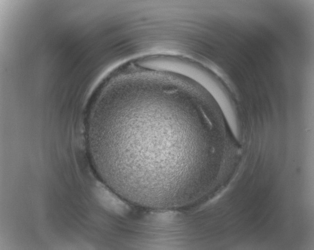 X0000082200926200701270114