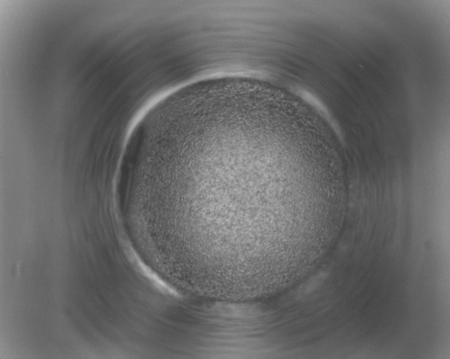 X0000082200928200701270114