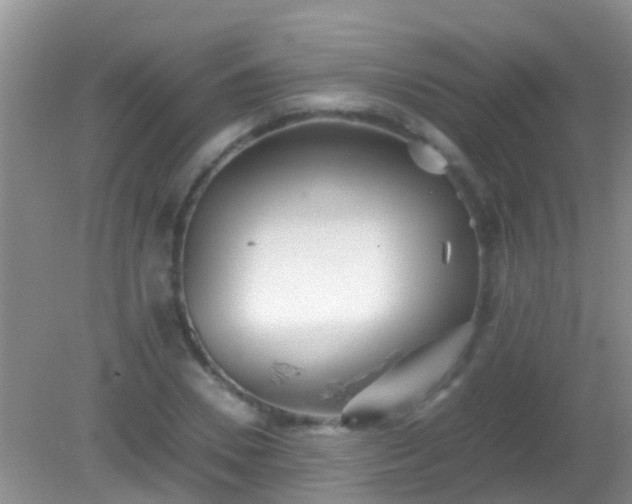 X0000082200930200701270114