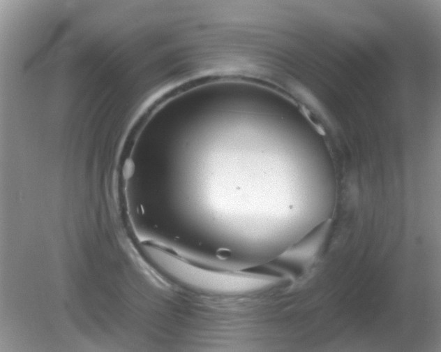 X0000082200932200701270114