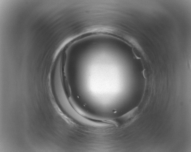 X0000082200936200701270114