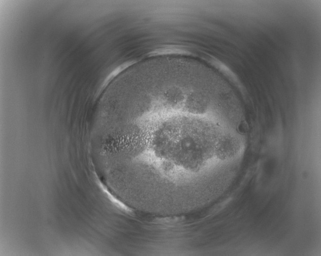 X0000082200937200701270114