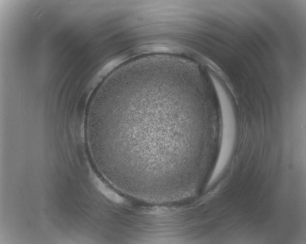 X0000082200938200701270114