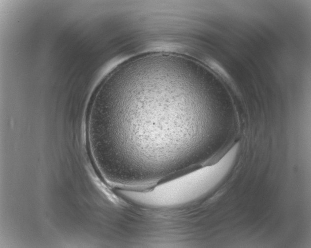 X0000082200940200701270114