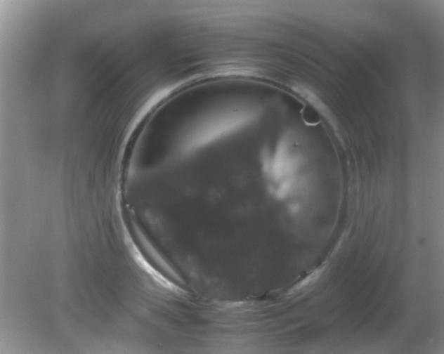 X0000082200941200701270114