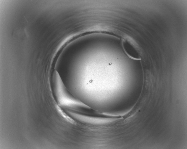 X0000082200942200701270114