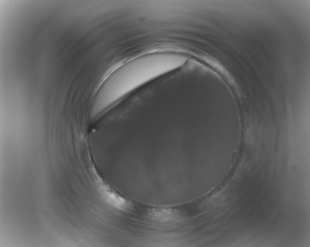 X0000082200945200701270114