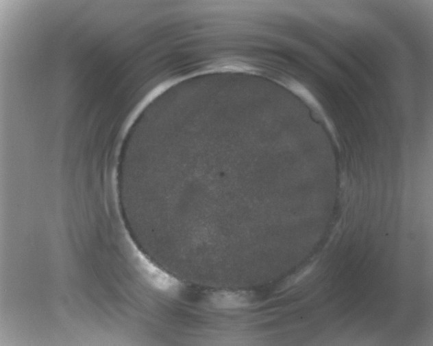 X0000082200947200701270115