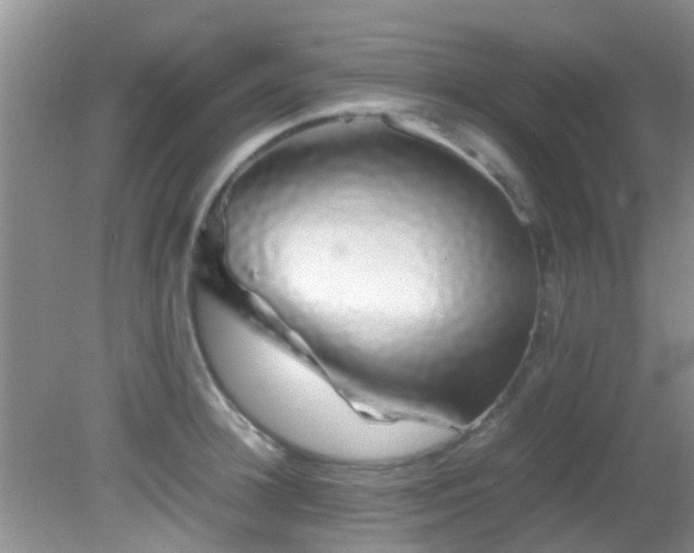 X0000082200948200701270115