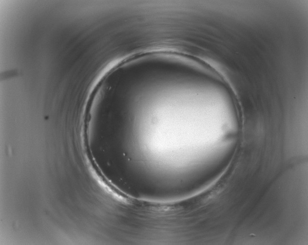 X0000082200949200701270115