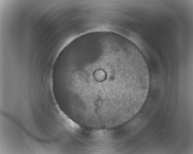 X0000082200950200701270115