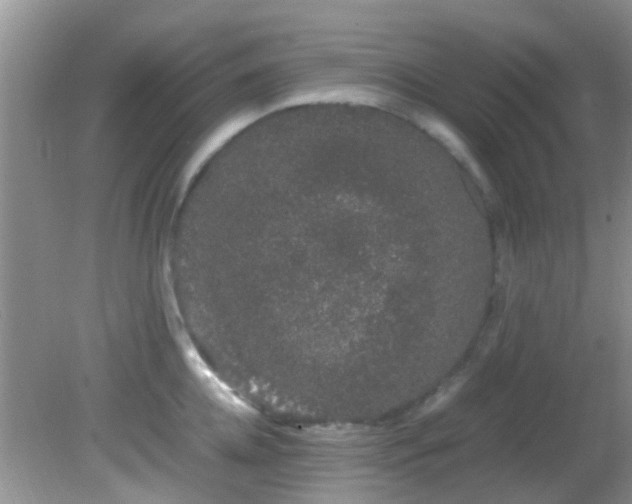 X0000082200952200701270115