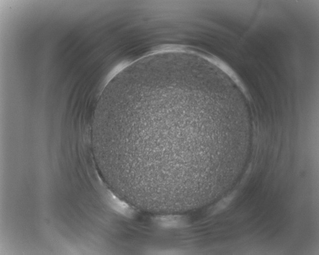 X0000082200953200701270115