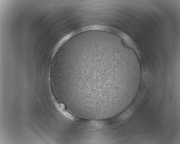 X0000082200954200701270115