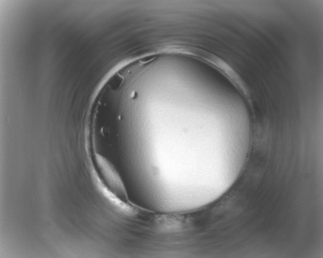 X0000082200955200701270115