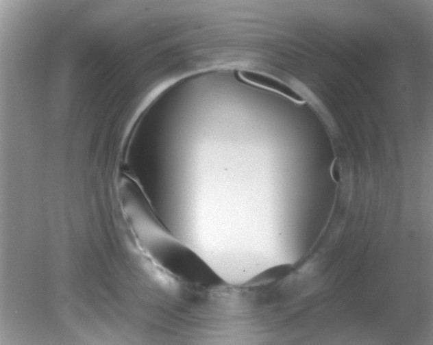 X0000082200956200701270115