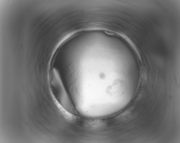 X0000082200957200701270115