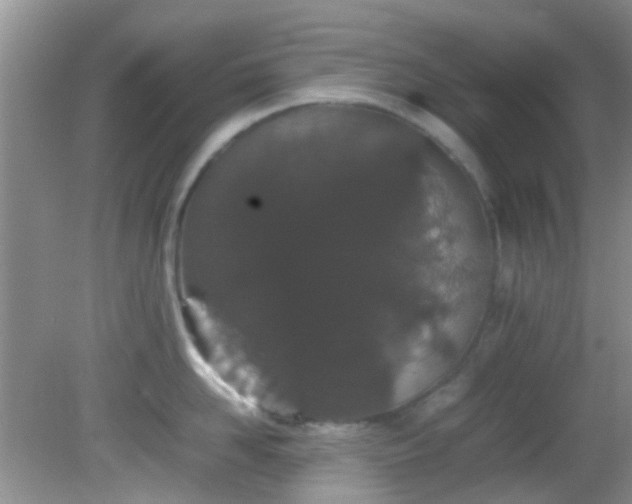 X0000082200958200701270115