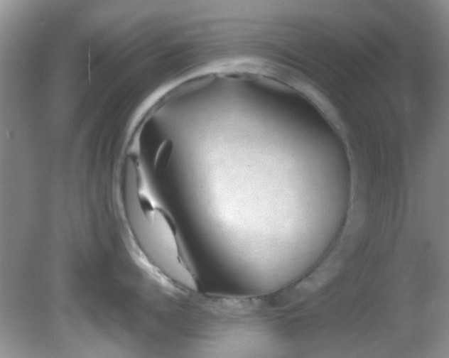 X0000082200960200701270115